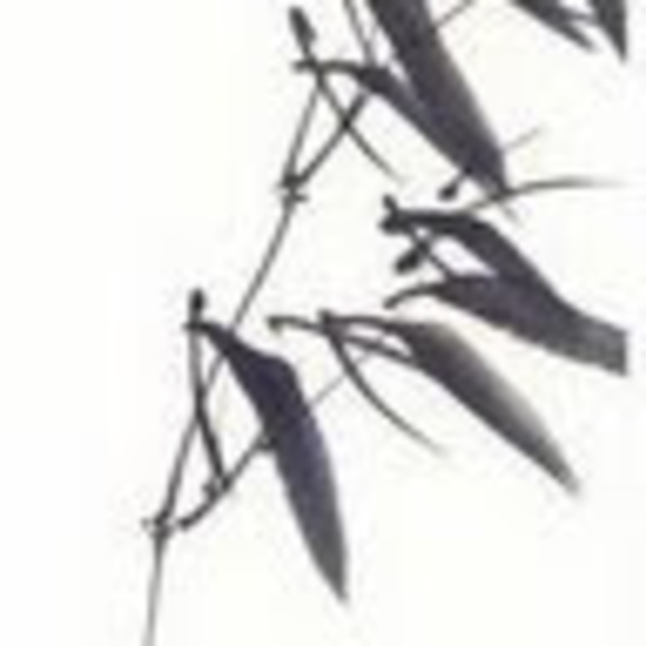 Meet your Posher, Christian - Picture 1 of 1